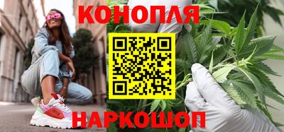 соль ск Можга