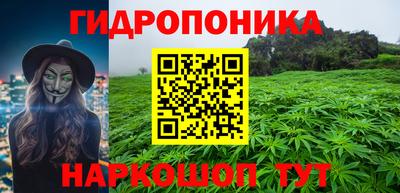 соль ск Можга