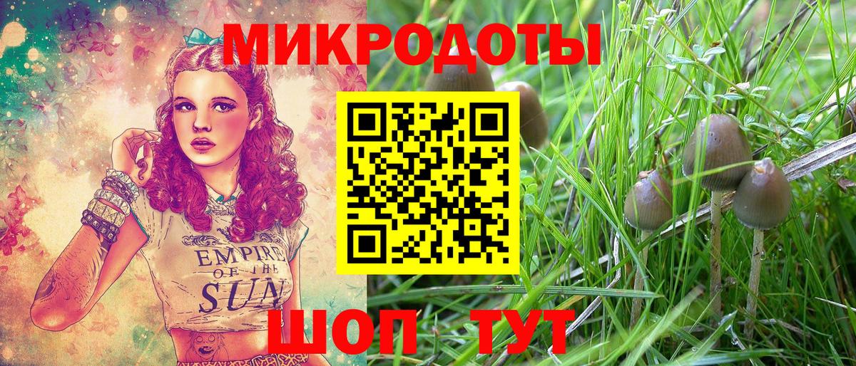 Галлюциногенные грибы мицелий  Вход с VPN  Галлюциногенные грибы Psilocybine cubensis  Северобайкальск 