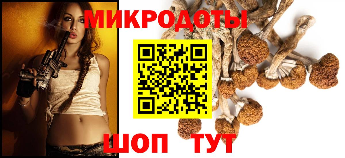 Псилоцибиновые грибы Cubensis Северобайкальск